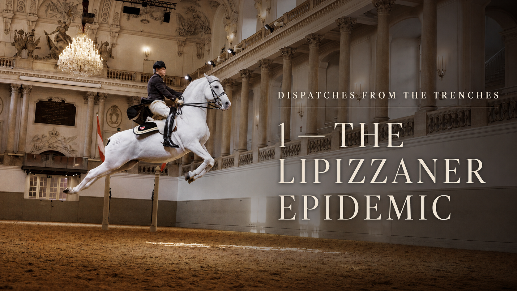 A white Lipizzaner horse and rider performing at Vienna’s Spanish Riding School, featured in George Jahn’s story The Lipizzaner Epidemic.